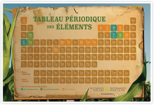 Periodic Table poster - French