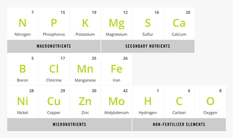 Periodic Table of Crop Nutrients
