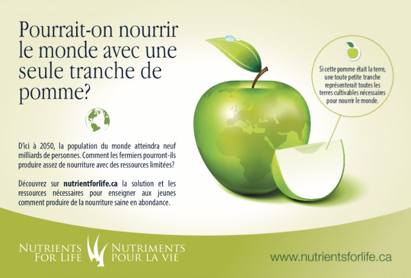 Apple postcard and activity card - French
