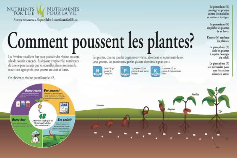 Example of poster in French
