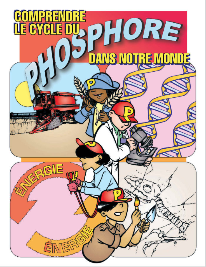 Understanding Phosphorus reader cover